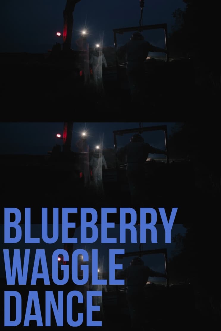 Blueberry Waggle Dance