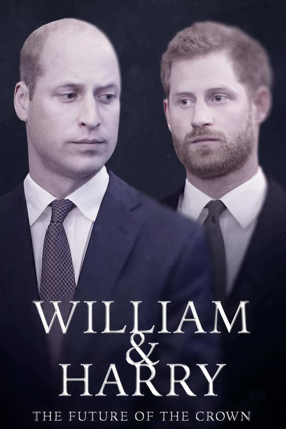 William & Harry: The Future of the Crown