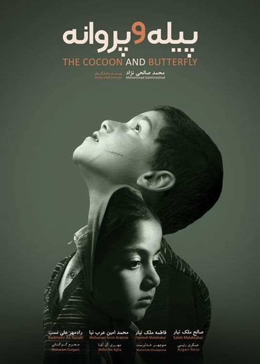Cocoon & Butterfly