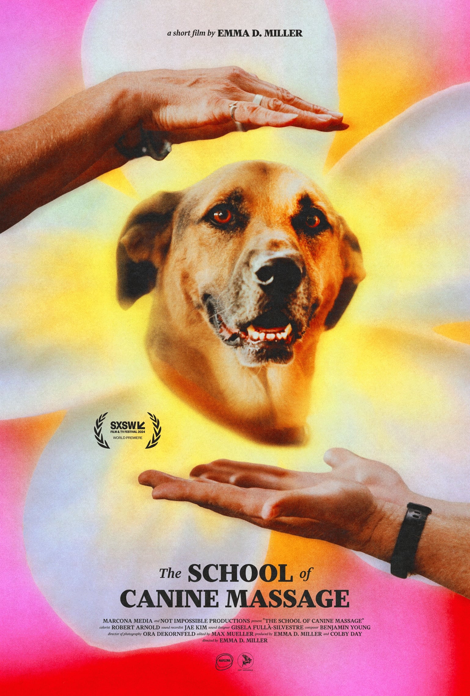 The School of Canine Massage