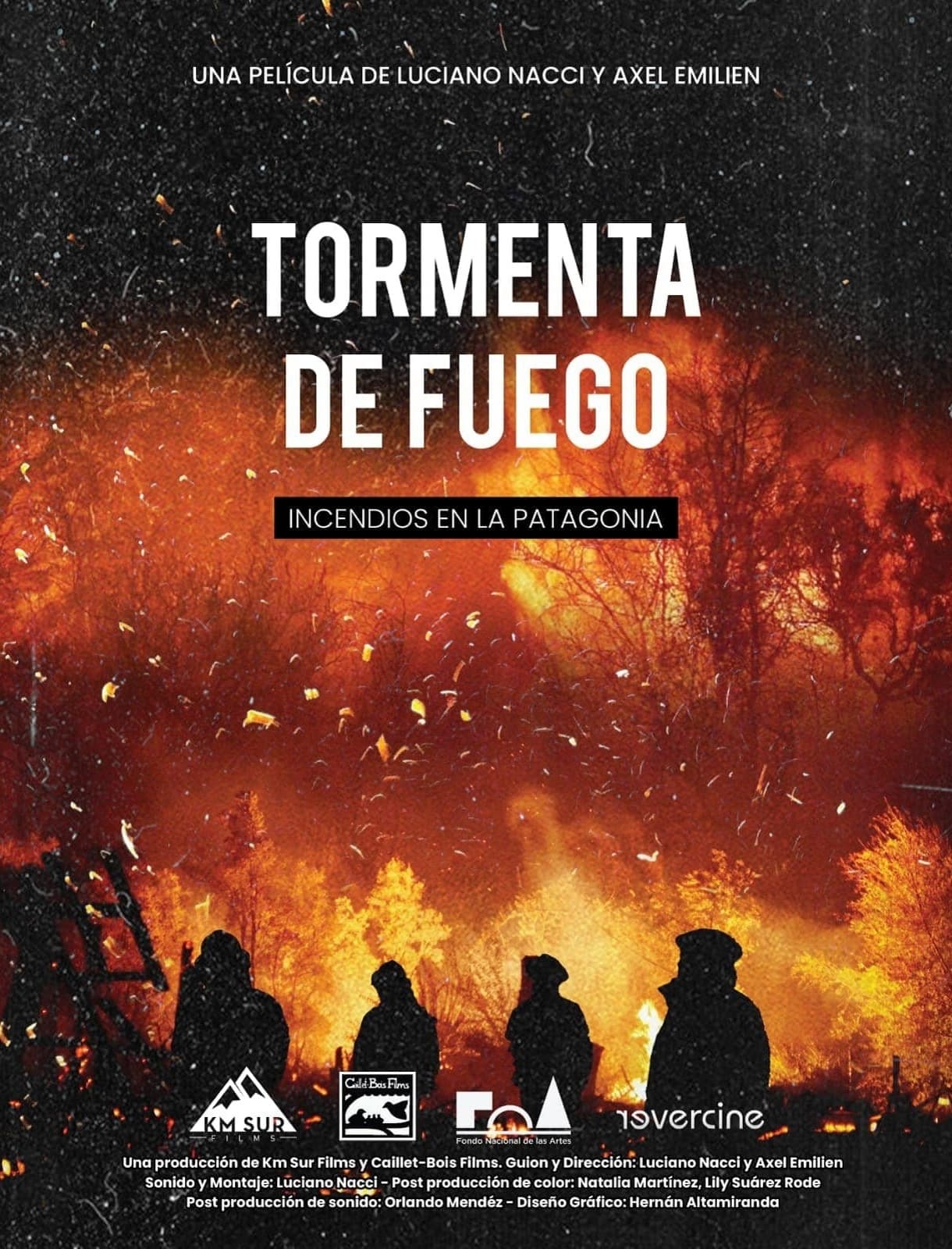 Tormenta de fuego: Incendios en la Patagonia