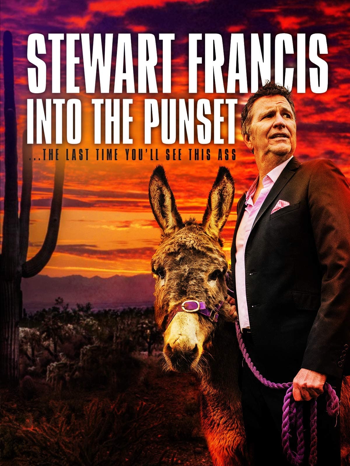 Stewart Francis: Into the Punset