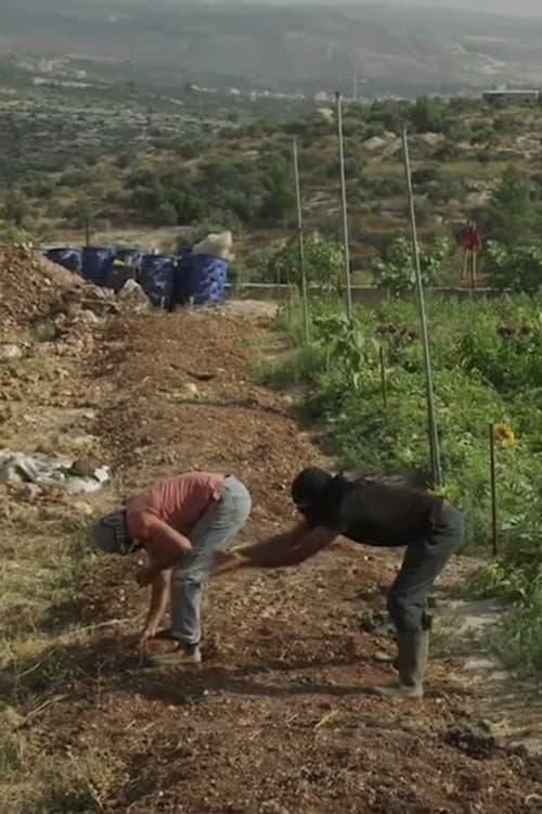 Untold Revolution: Food Sovereignty in Palestine