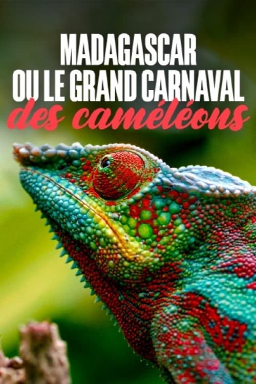 Madagascar or the Great Carnival of the Cameleons