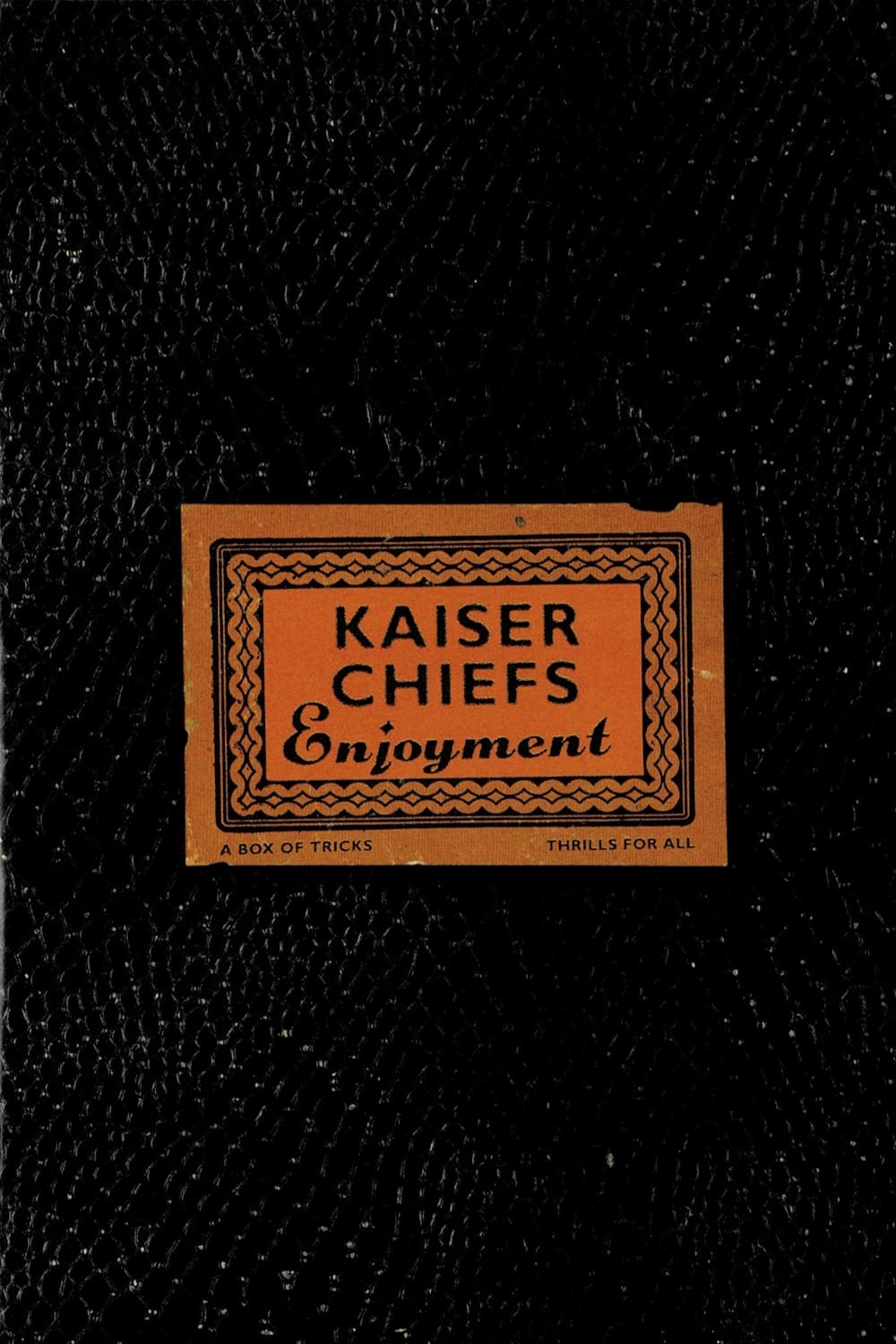 Kaiser Chiefs: Enjoyment