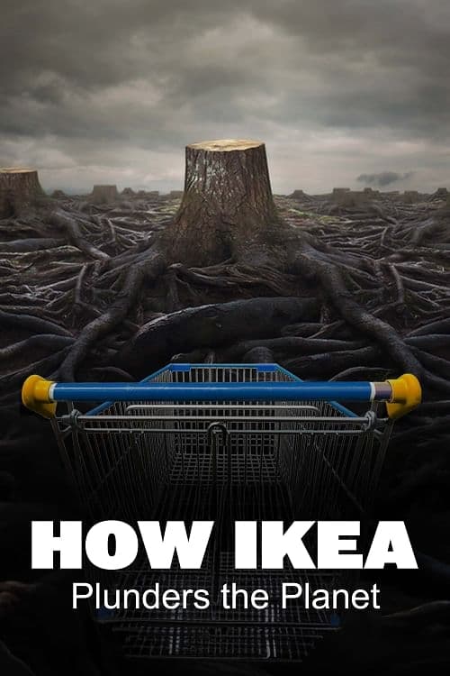 Ikea, le seigneur des forêts