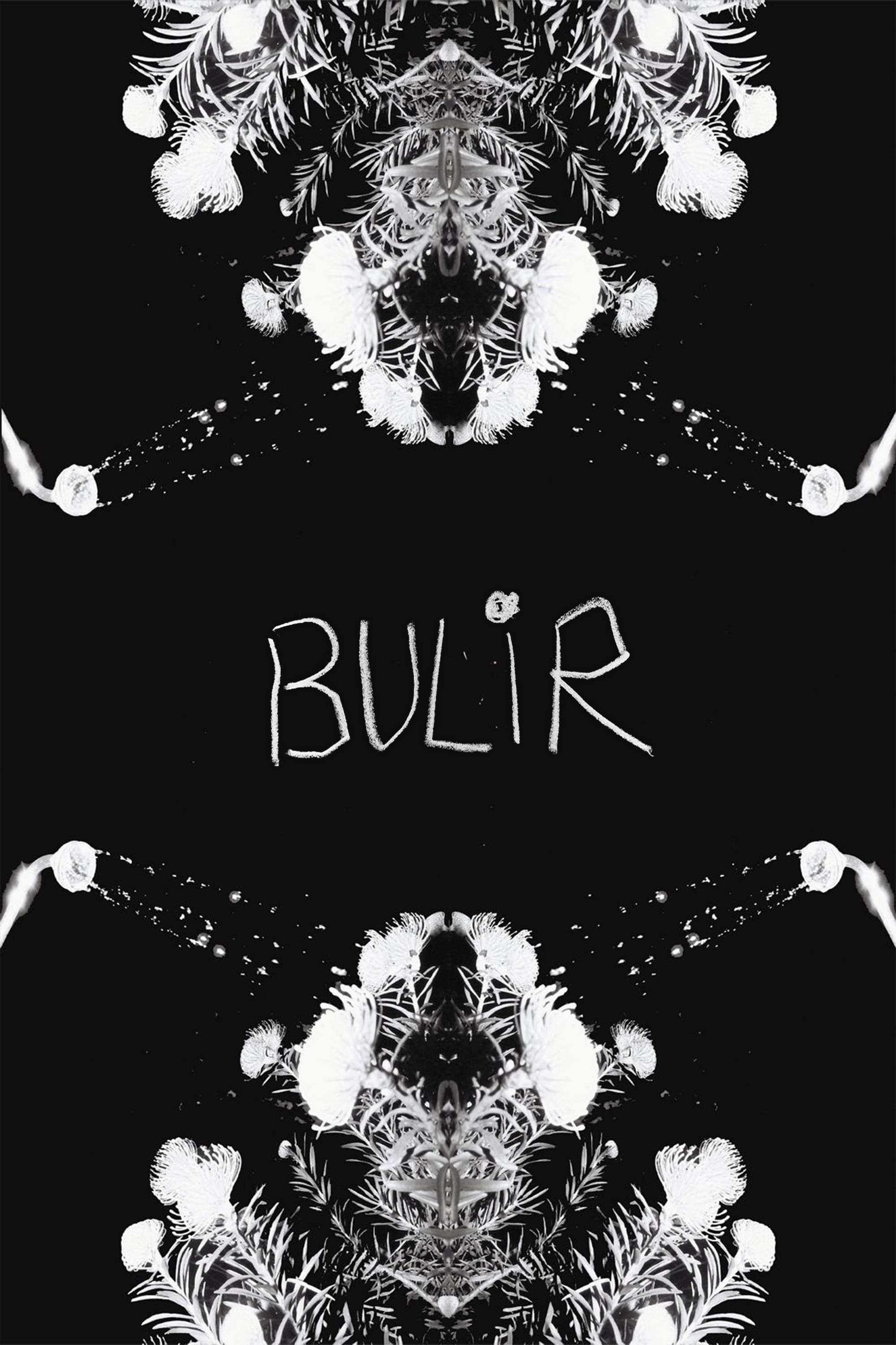 BULIR