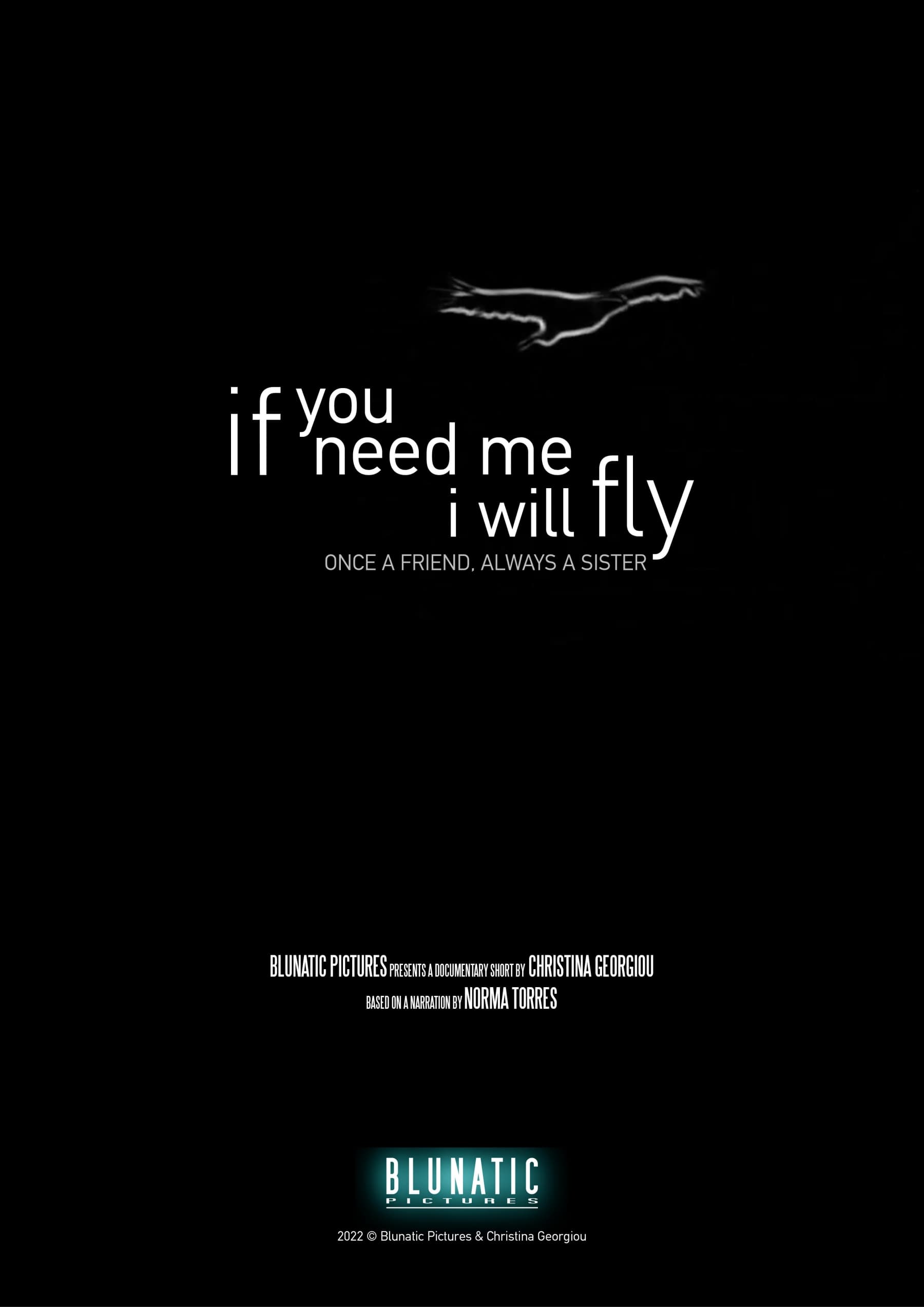 If You Need Me, I Will Fly