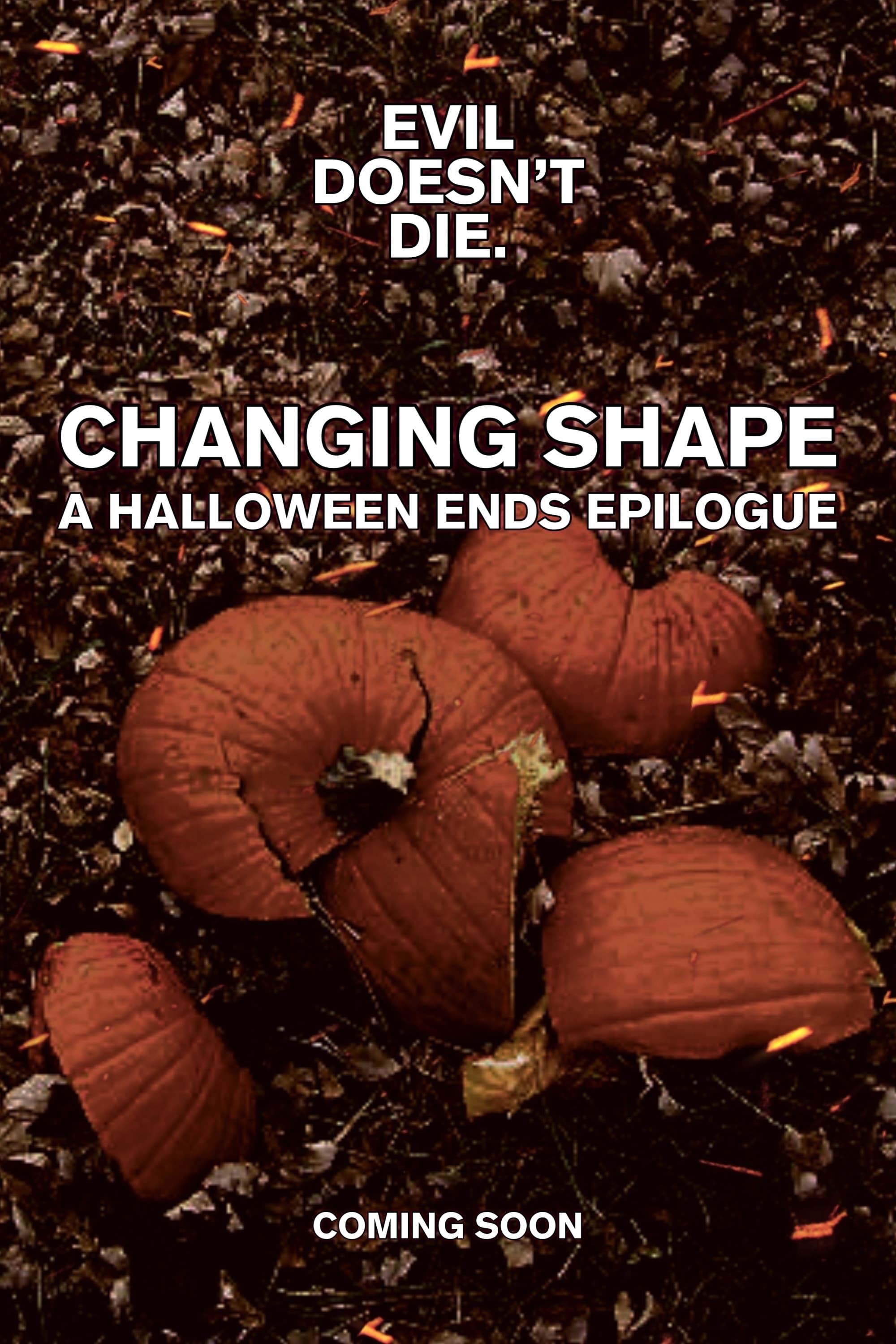Changing Shape: A Halloween Ends Epilogue
