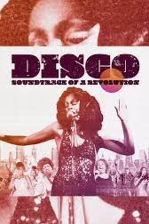 Disco: Soundtrack of a Revolution