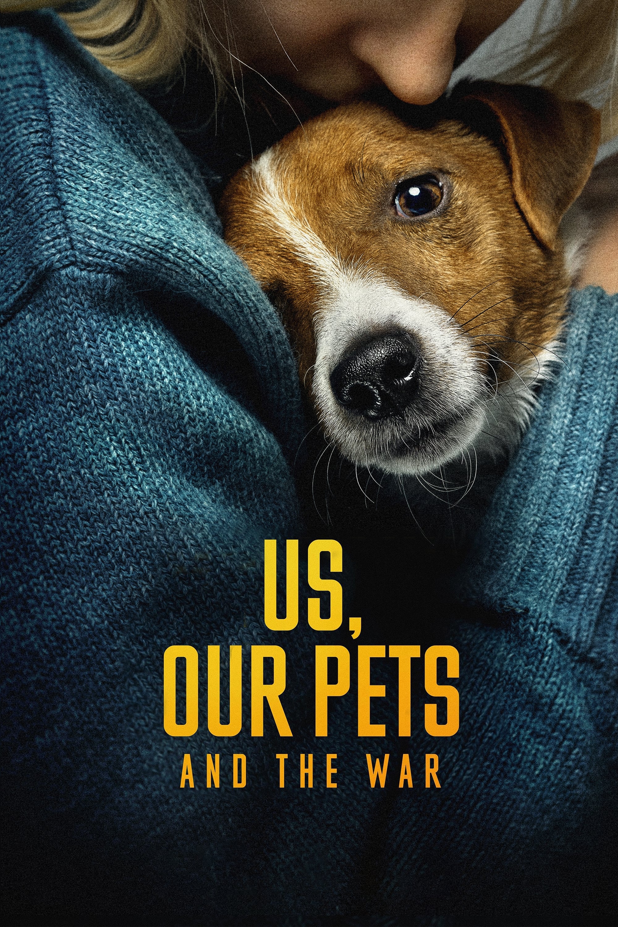 Us, Our Pets and the War