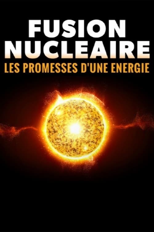 Versprechen Kernfusion? - Der Wettlauf um die Energie der Zukunft