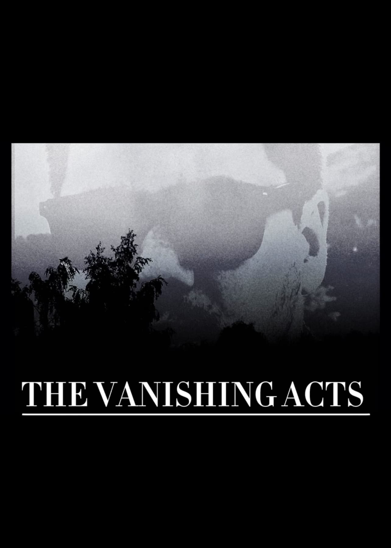 THE VANISHING ACTS