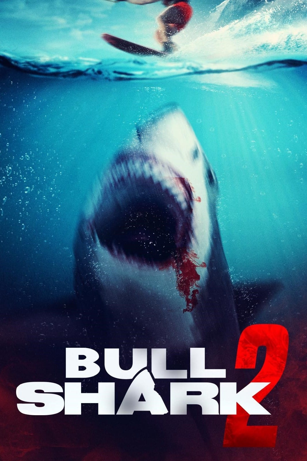 Bull Shark 2
