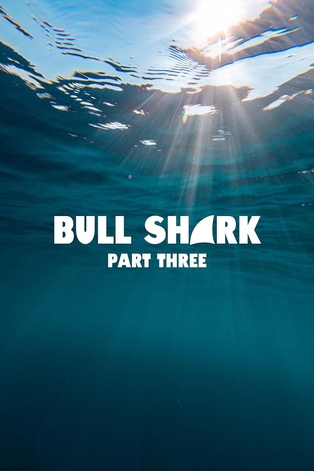 Bull Shark Part Three