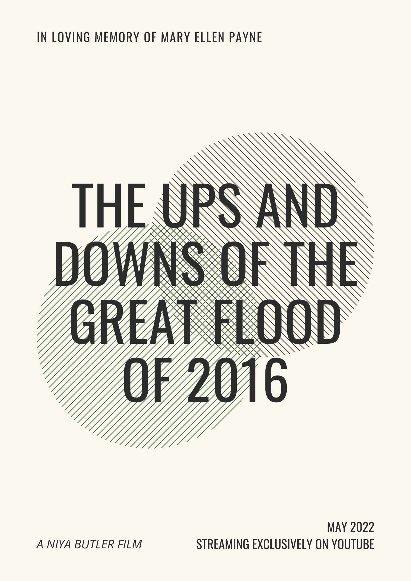 The Ups and Downs of the Great Flood of 2016