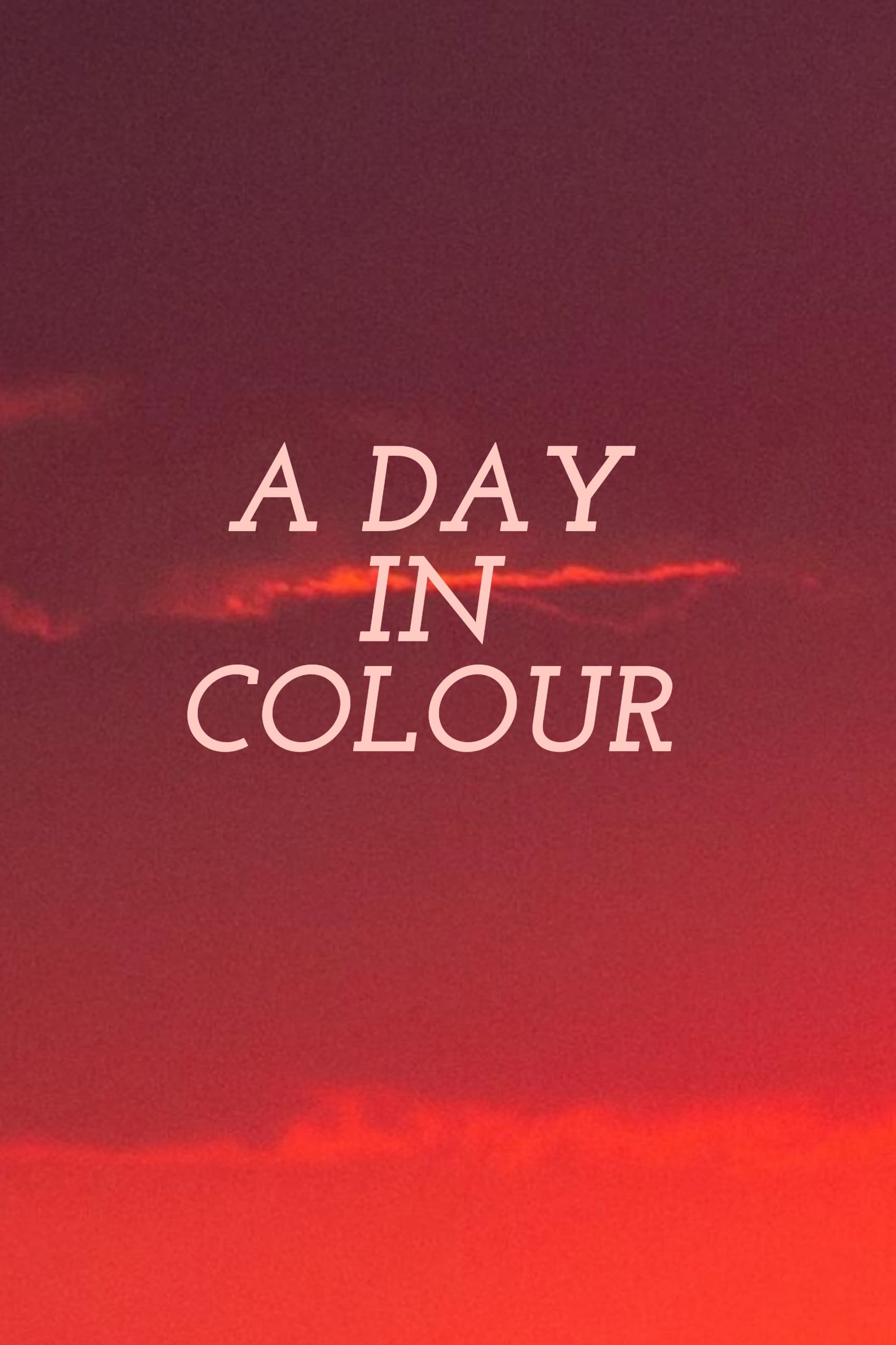 A Day in Colour