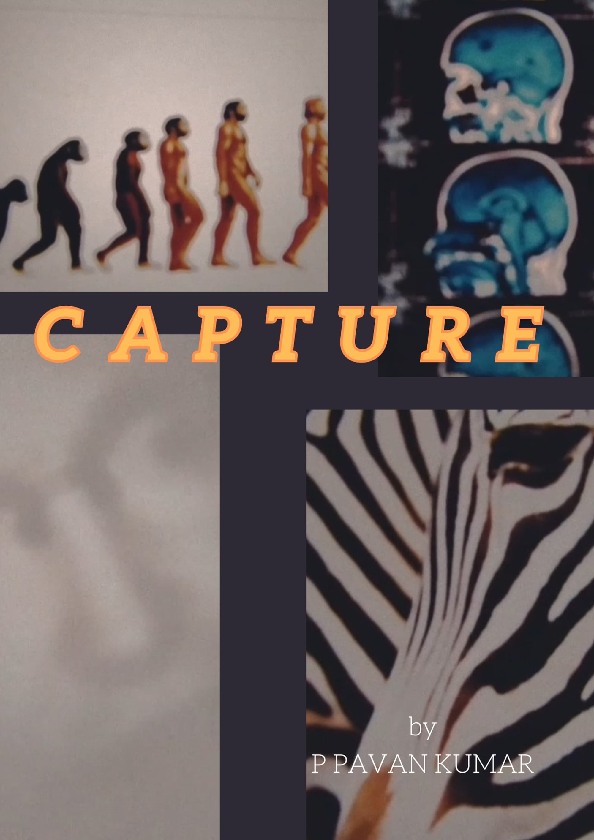Capture