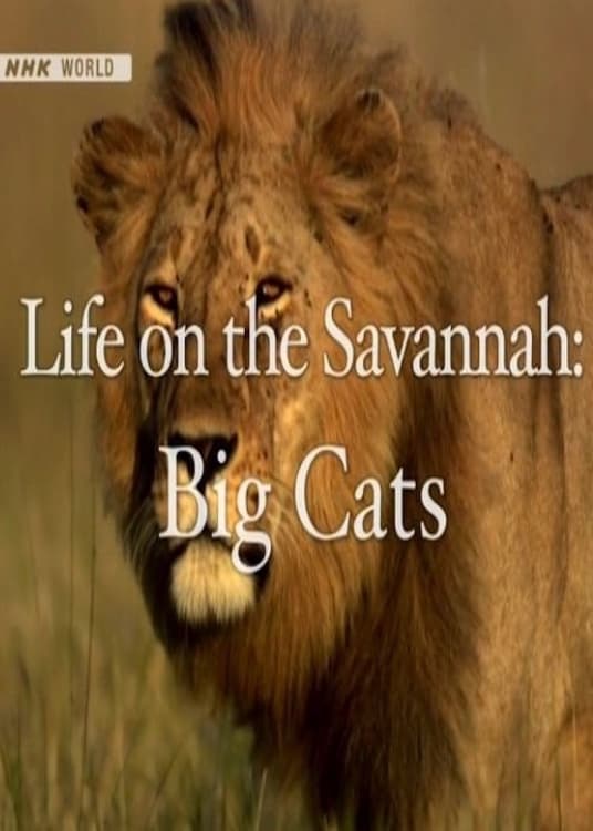 Life on the Savannah: Big Cats