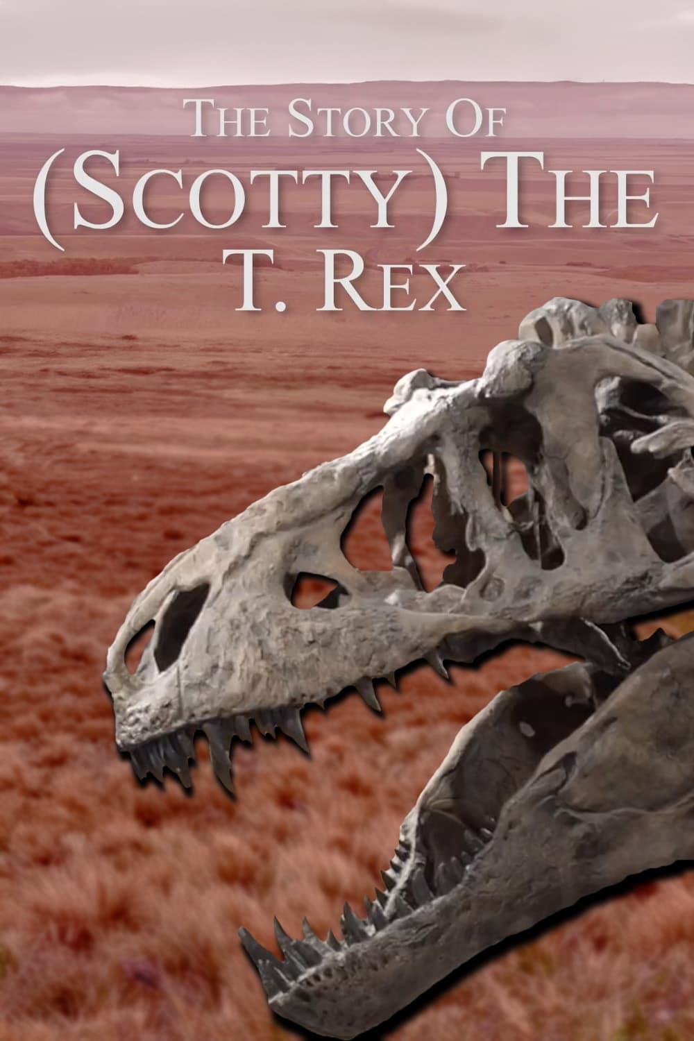 The Story Of (Scotty) The T. Rex