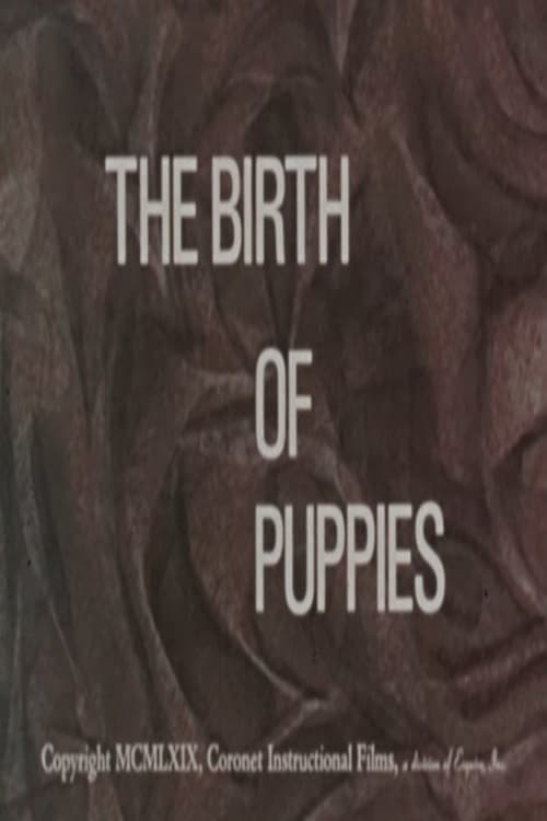 The Birth of Puppies