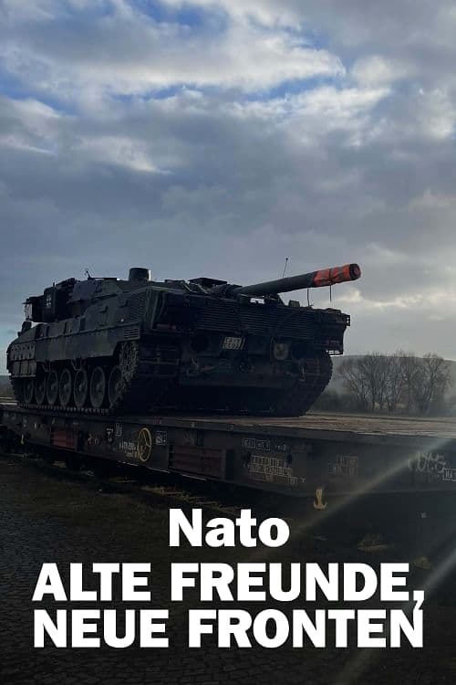 Nato - Alte Freunde, neue Fronten