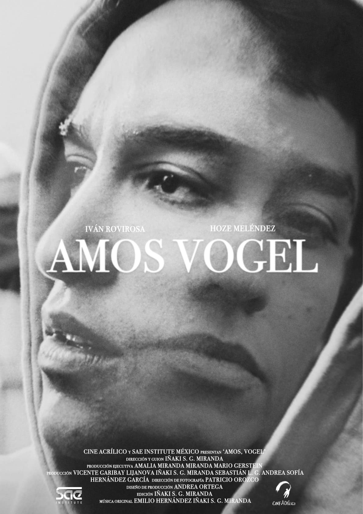 Amos, Vogel