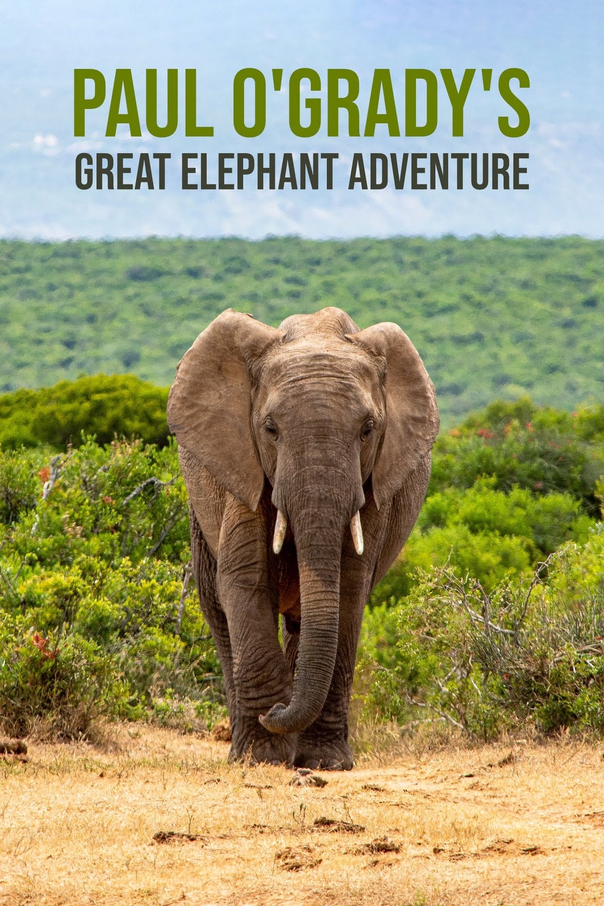 Paul O'Grady's Great Elephant Adventure