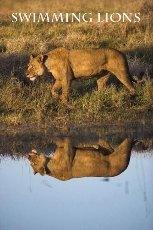 Swimming Lions