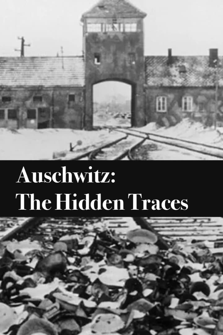 Auschwitz: The Hidden Traces