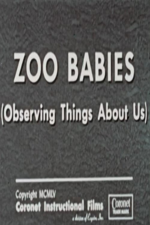 Zoo Babies (Observing Things About Us)