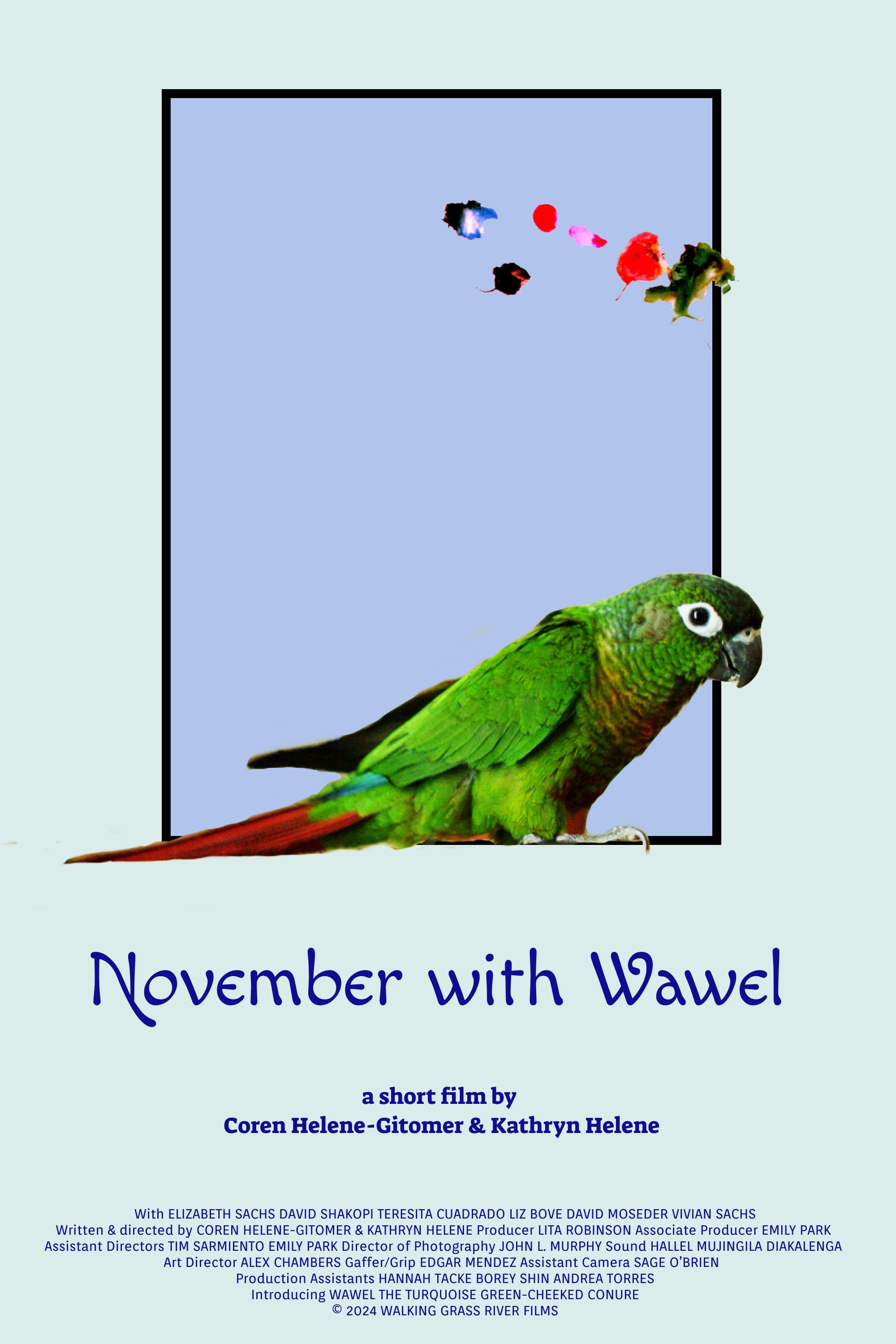 November with Wawel