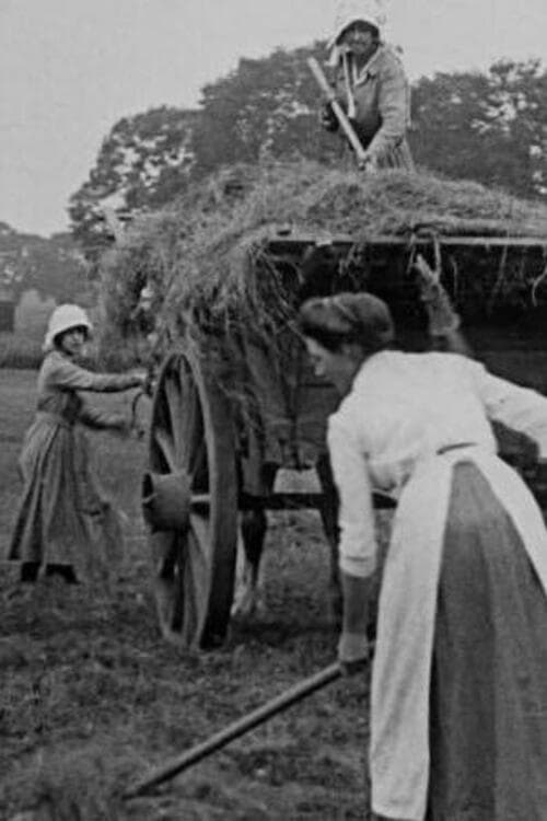Women Hay Makers