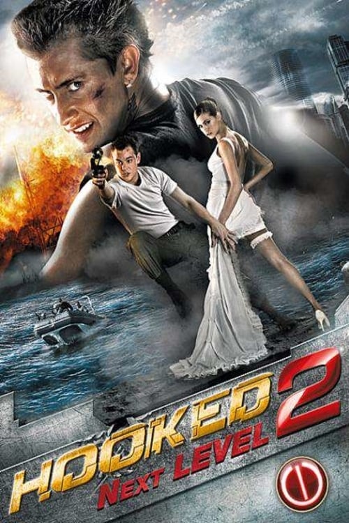 Hooked on the Game 2. The Next Level (2010)