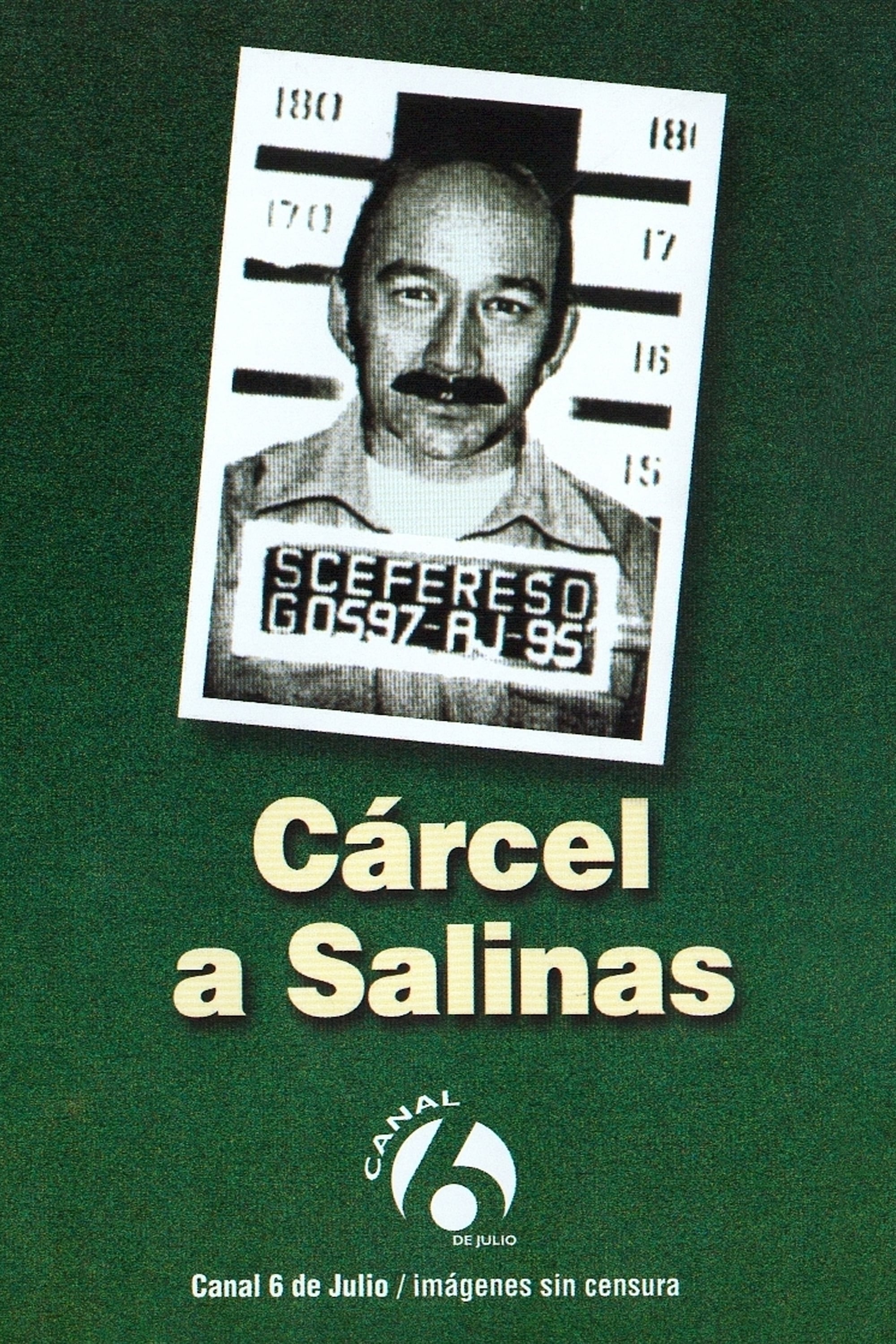 Cárcel a Salinas