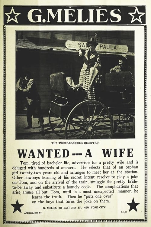 Wanted a Wife in a Hurry