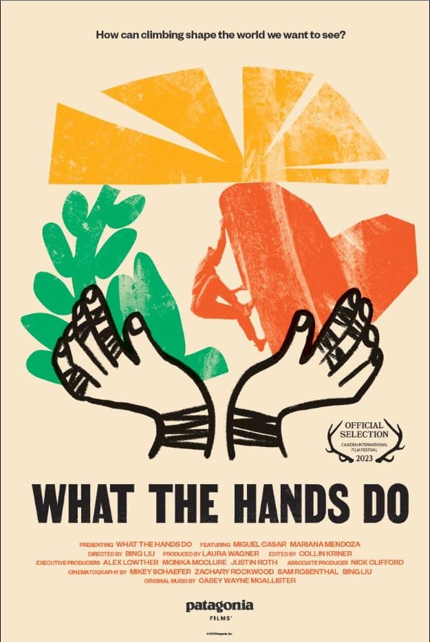 What the Hands Do