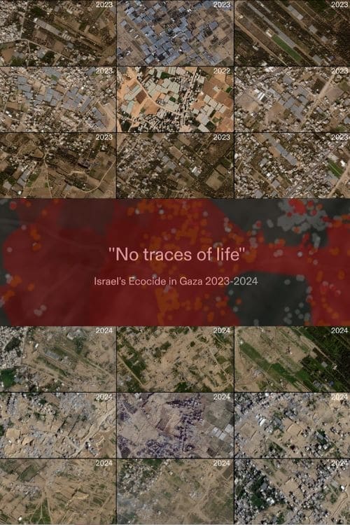No Traces of Life