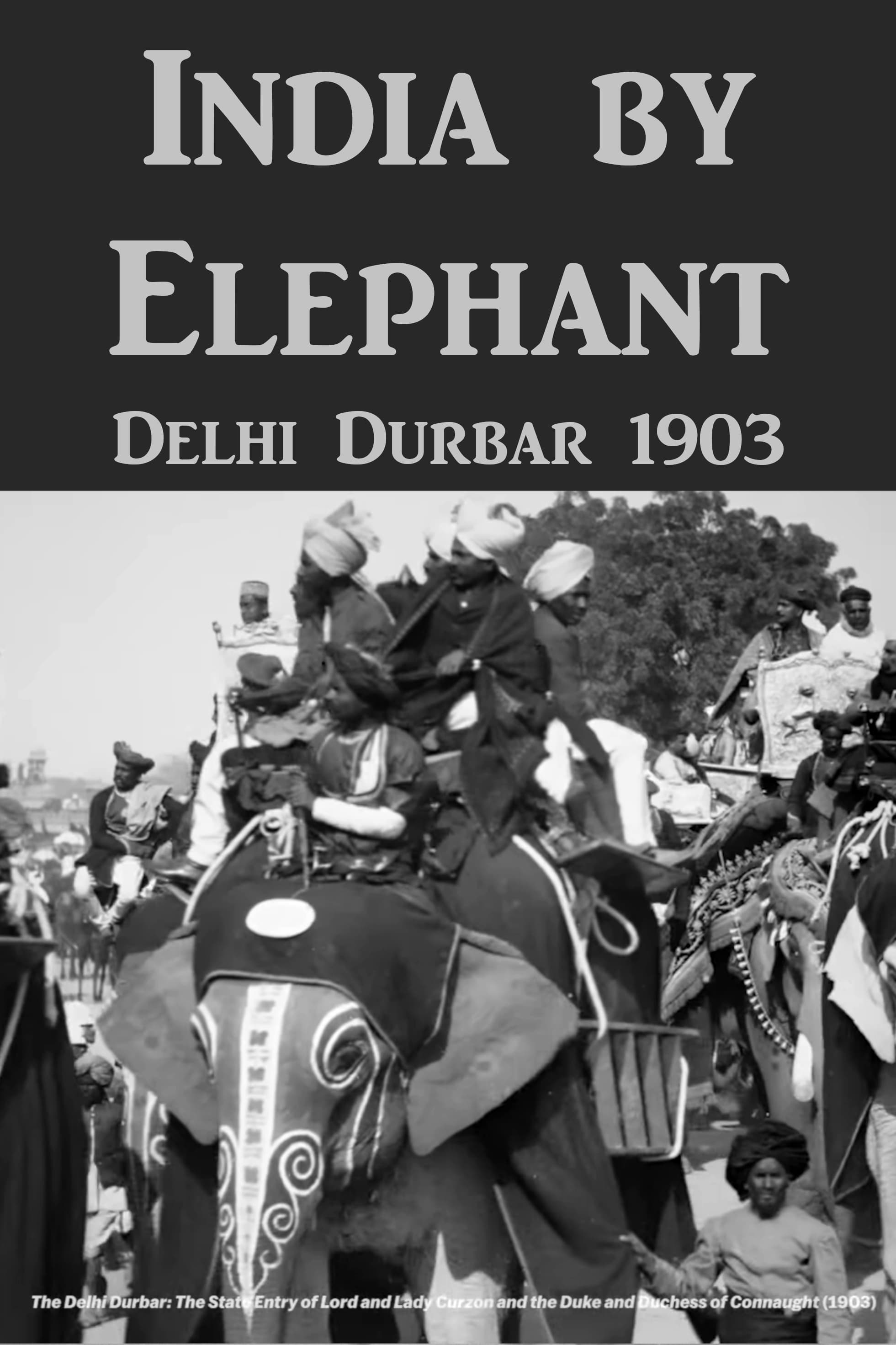 India by Elephant: Delhi Durbar