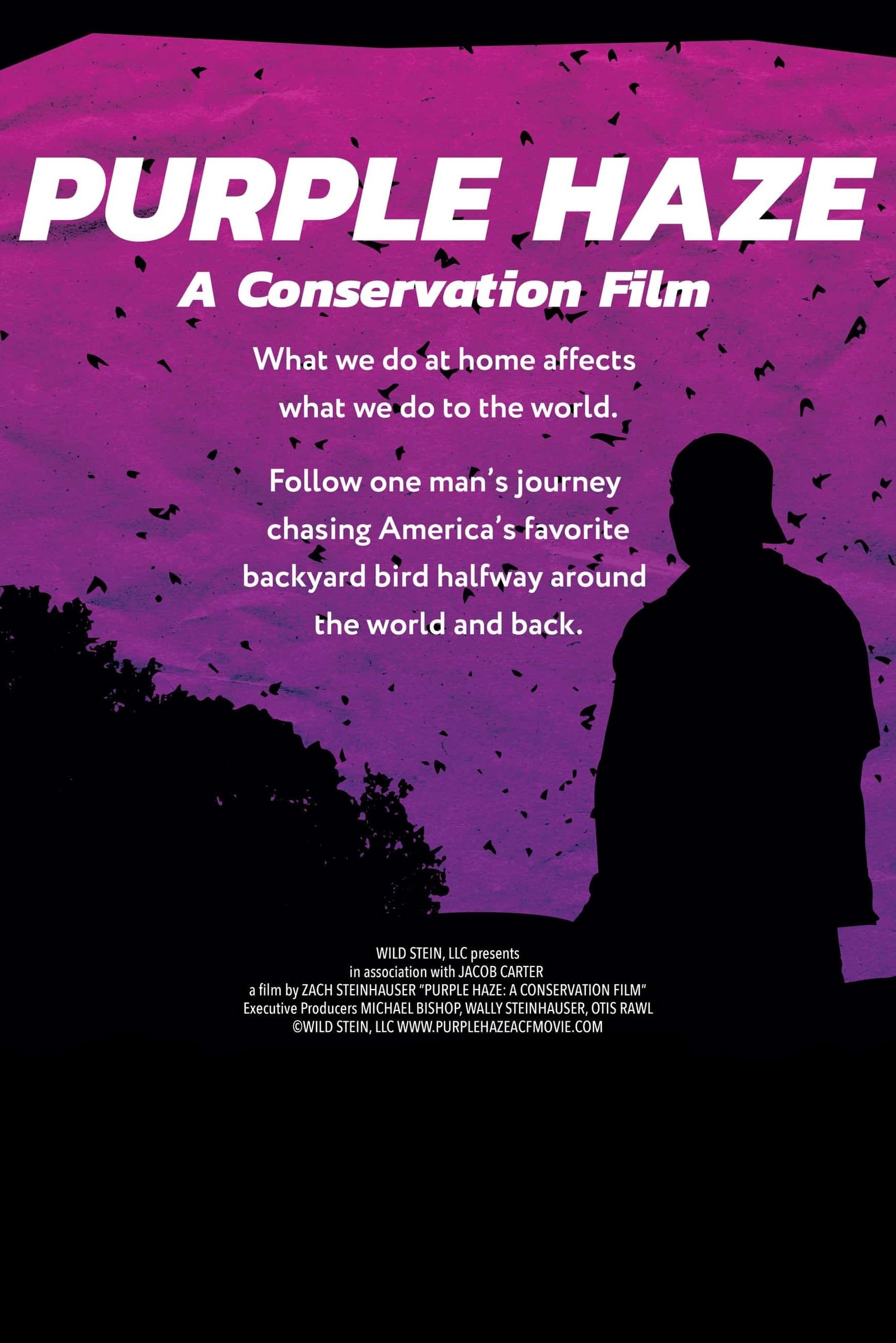 Purple Haze: A Conservation Film