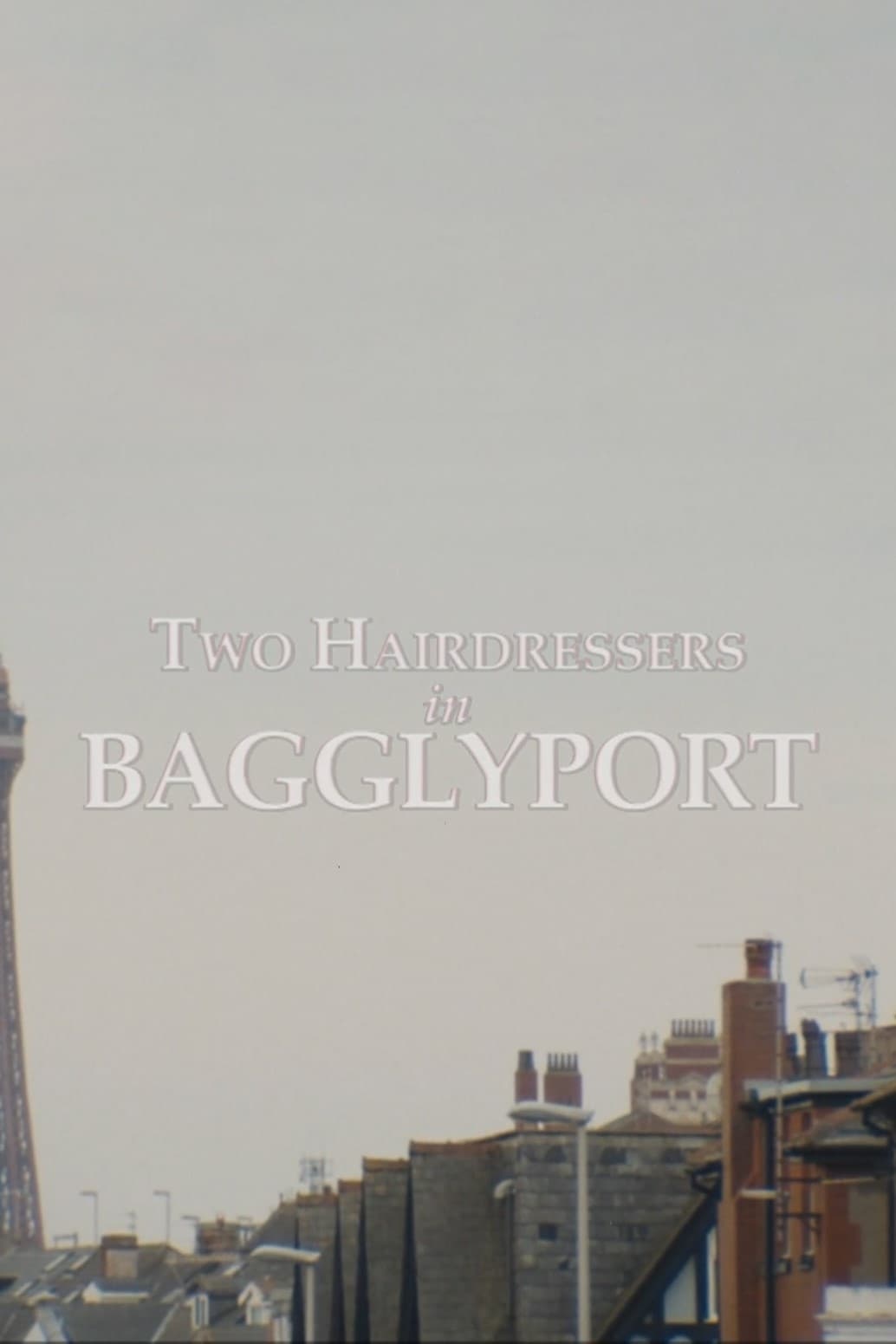 Two Hairdressers in Bagglyport
