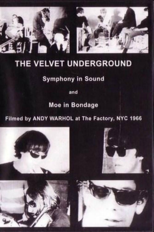 The Velvet Underground and Nico: A Symphony of Sound (1966)