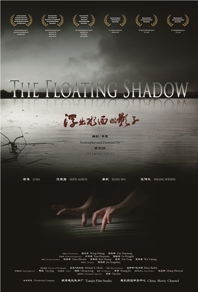 The Floating Shadow