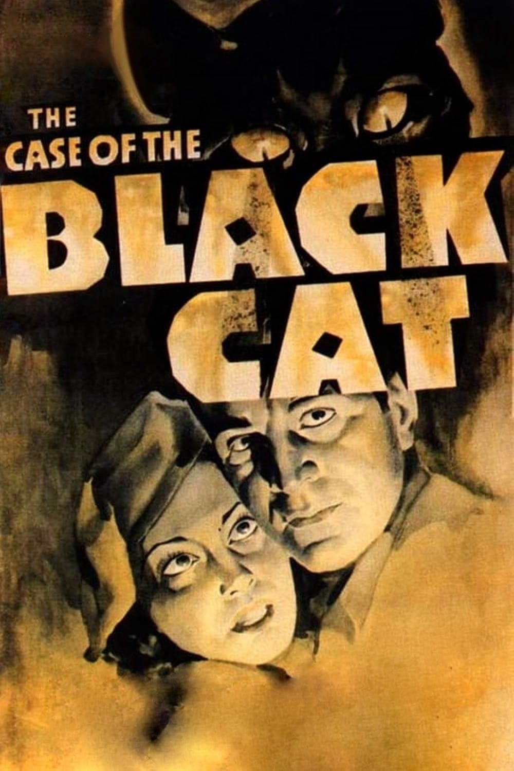 The Case of the Black Cat (1936)