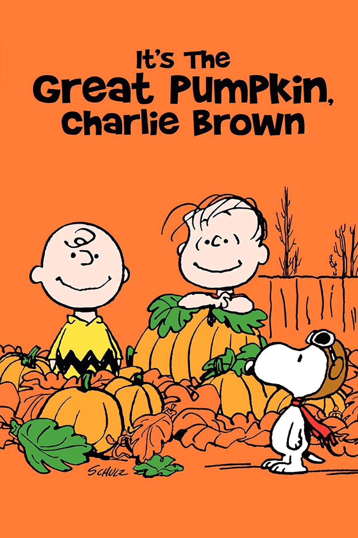 Charlie Brown e a Grande Abóbora (1966)
