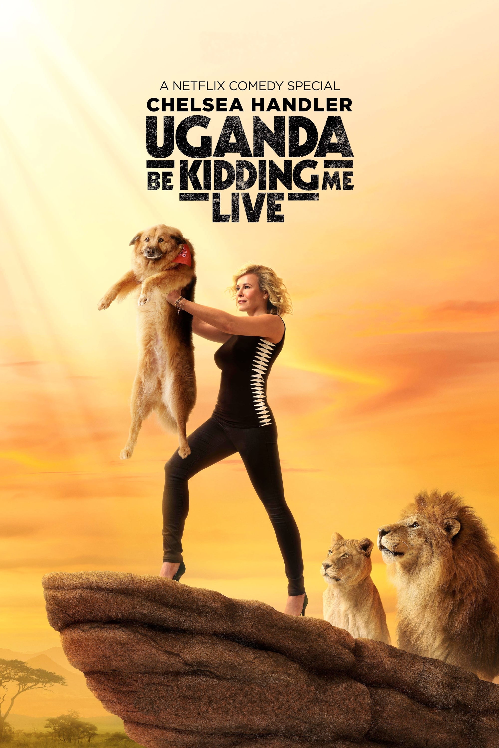 Chelsea Handler: Uganda Be Kidding Me Live (2014)
