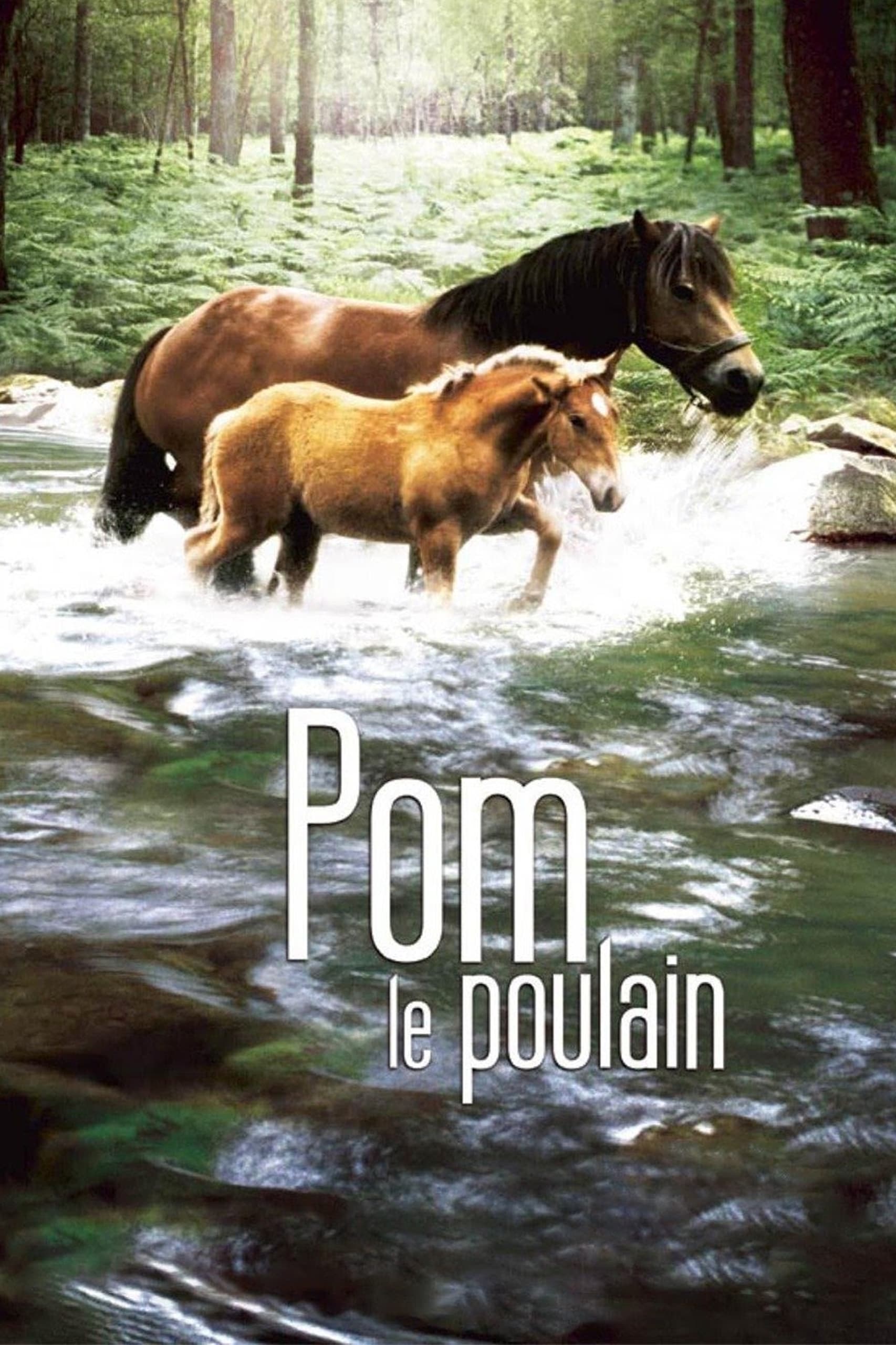Pom, le poulain (2006)