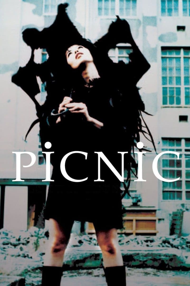 Picnic (1996)