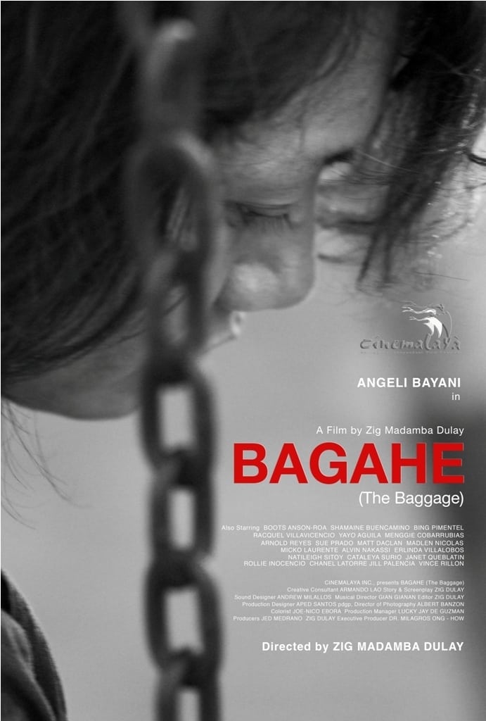 The Baggage (2017)