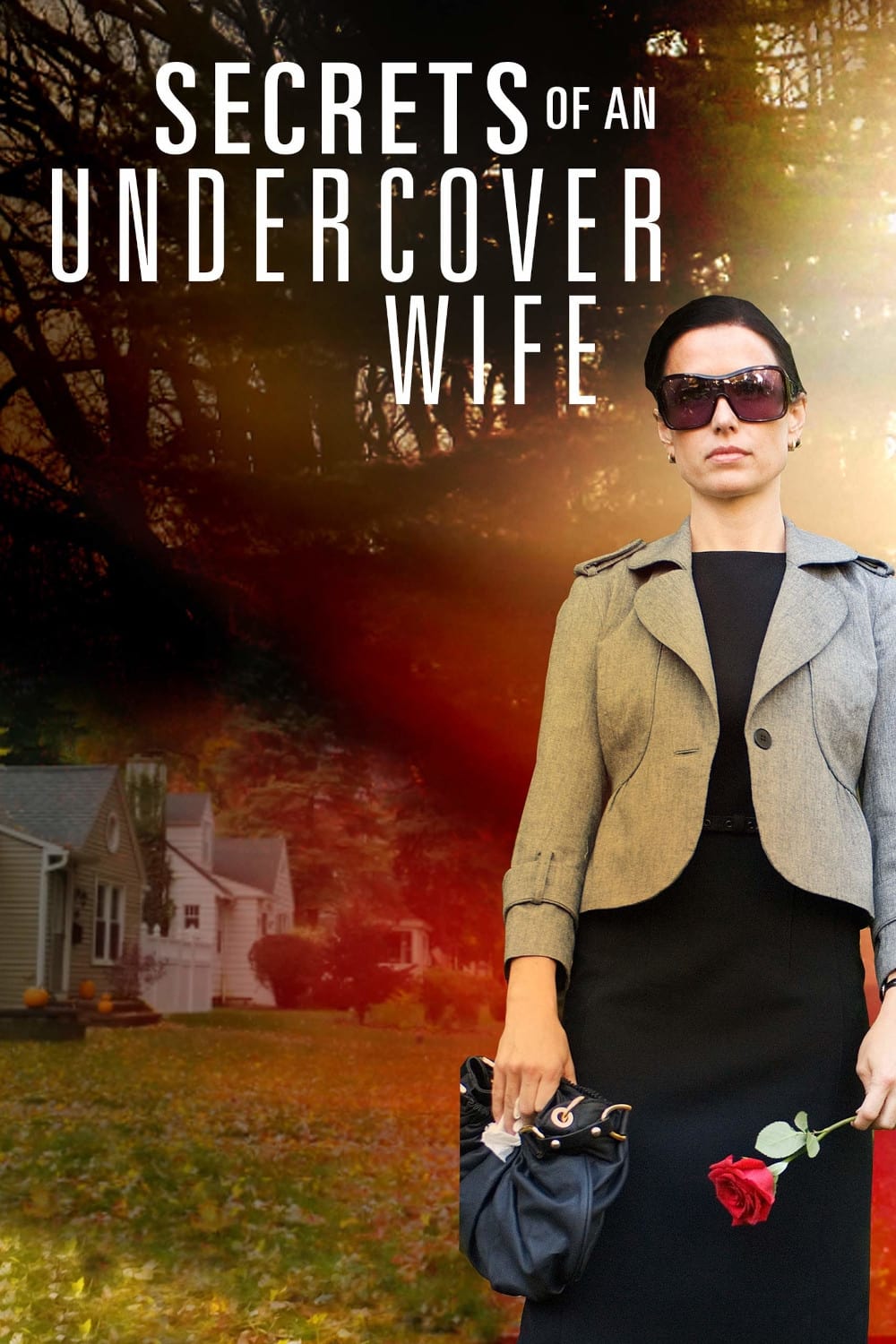 Secrets of an Undercover Wife (2007)
